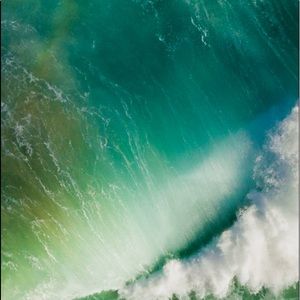 Meet your Posher, Leonard